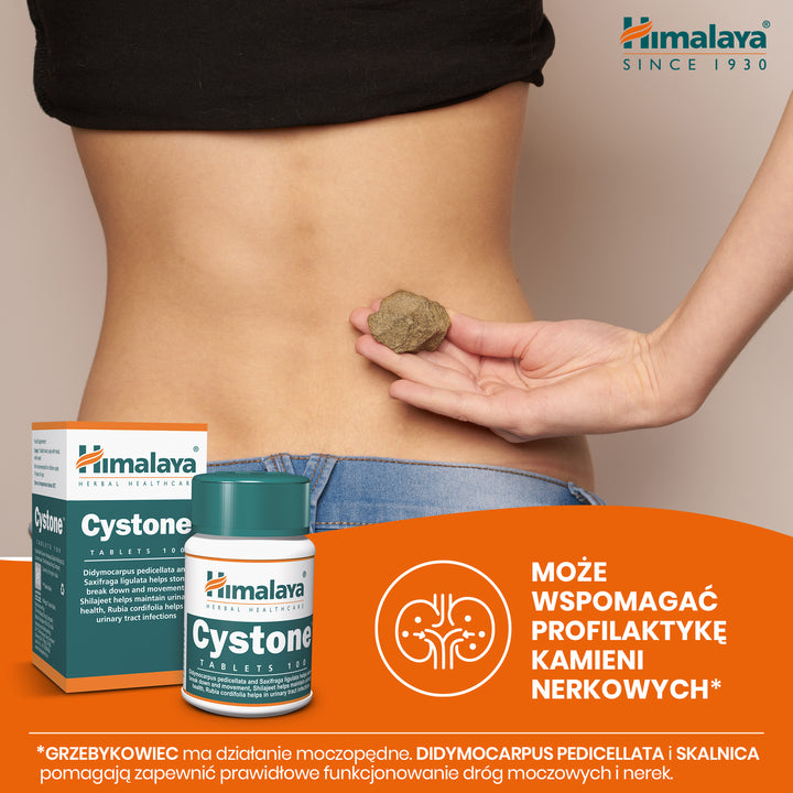 Cystone - 100 Tablets (Pack of 3)