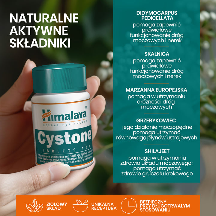 Cystone - 100 Tablets (Pack of 3)