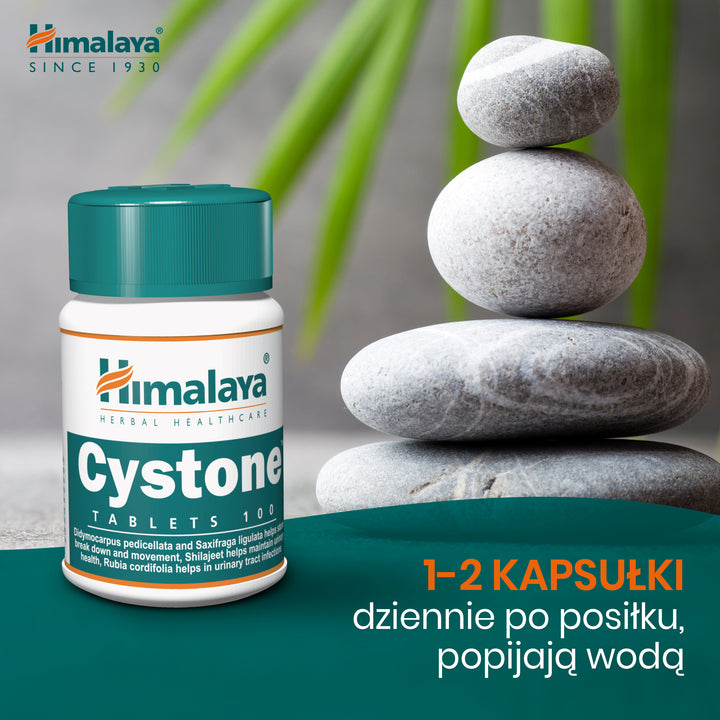 Cystone - 100 Tablets (Pack of 3)