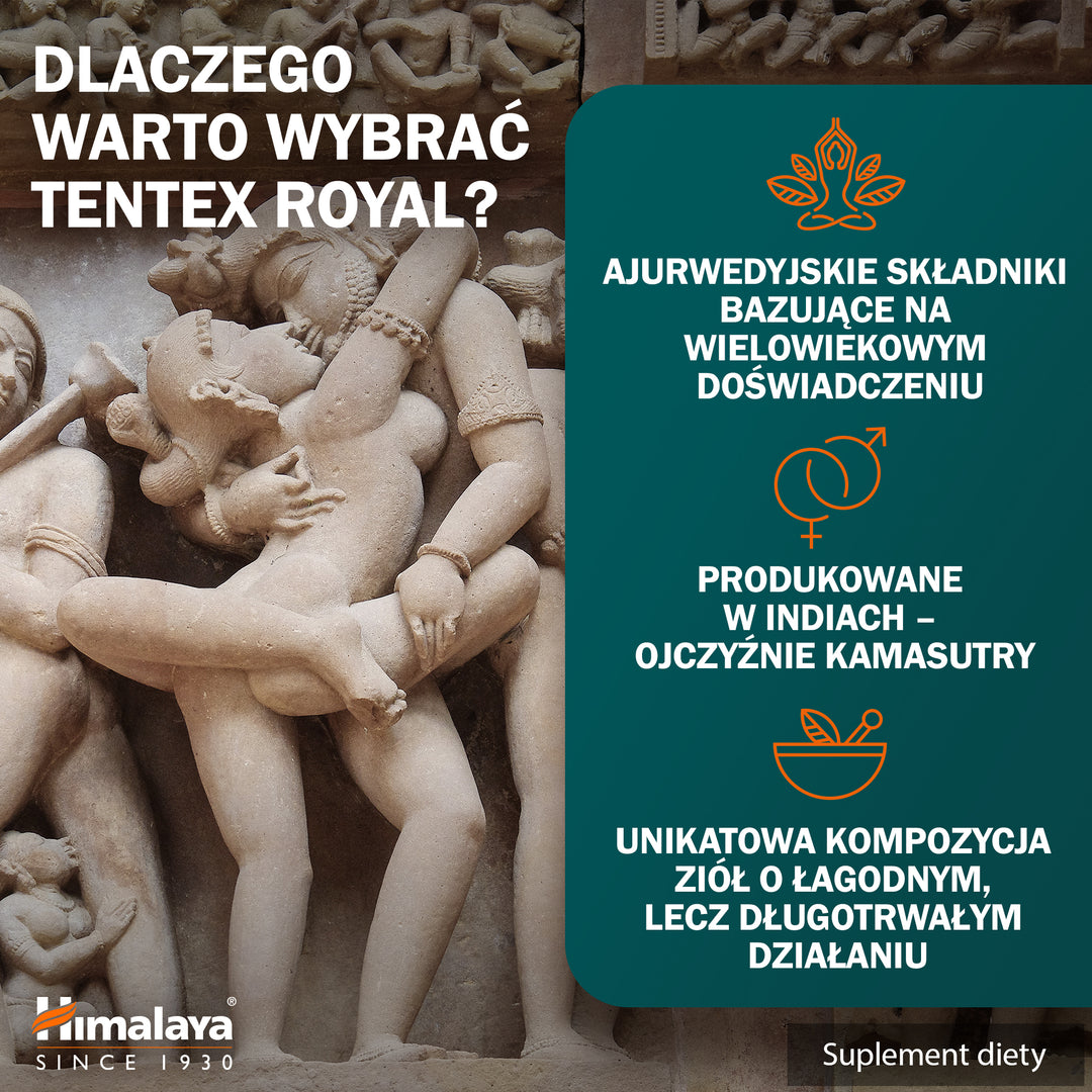 Himalaya Tentex Royal
